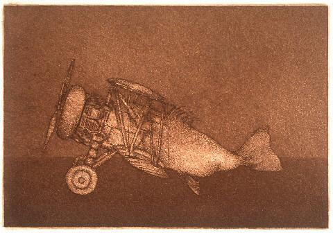 For the True Anatomy - Flying Fish