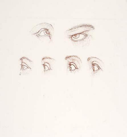 For the anatomy of tears
