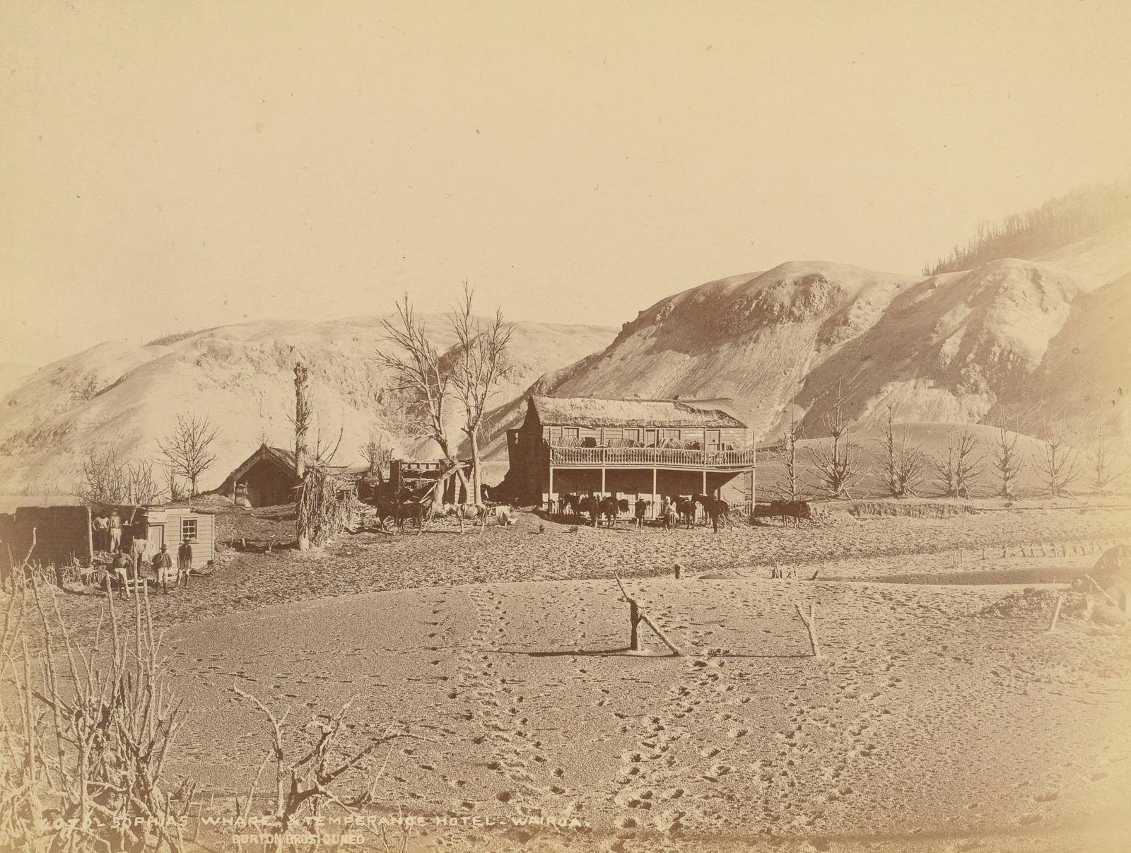 Sophia's whare and the Temperance Hotel, Wairoa