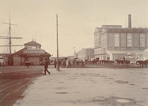Quay Street East Auckland