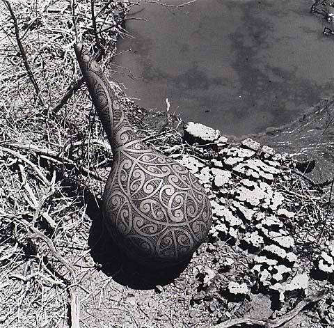 Untitled (Gourd and thermal crater)