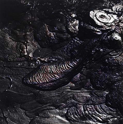 Untitled (Dark Mud 2)