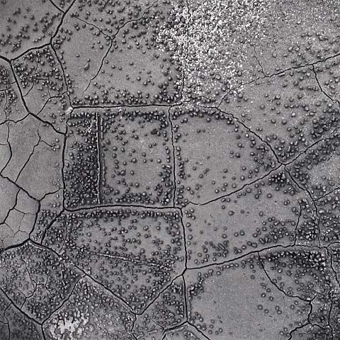 Untitled (Dry Mud) 3