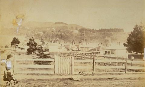 Mount Eden from Epsom, Auckland