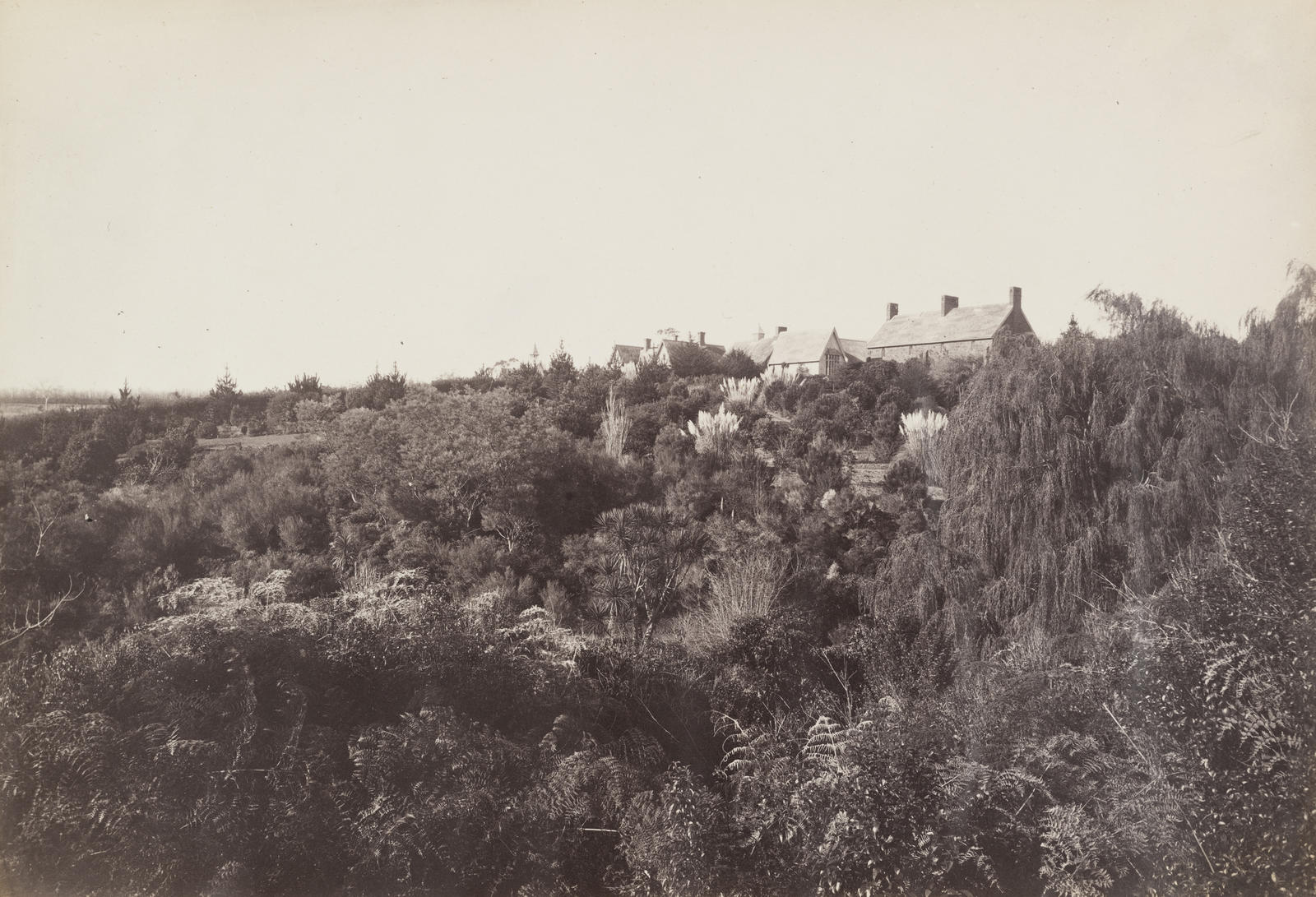 Saint John's College, Auckland, from the West
