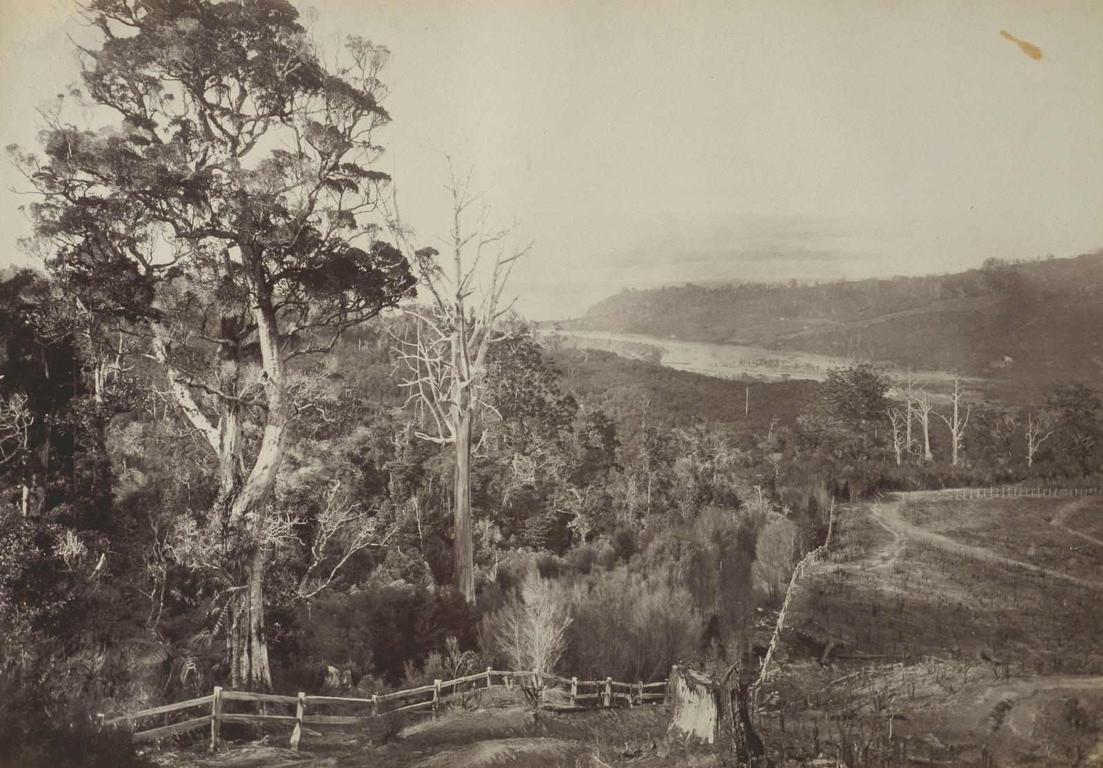 Parau from the Road to Huia