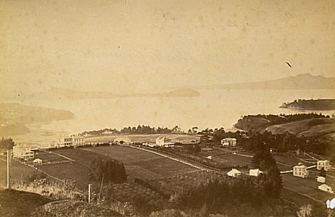 Hobson Bay from Mt Hobson, Auckland