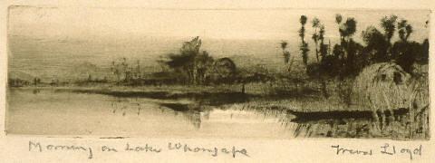 Morning on Lake Whangapa