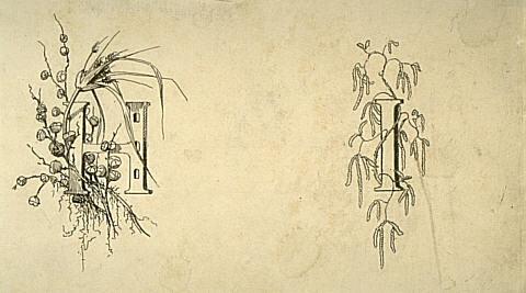 Untitled (Illuminated initials "H" and "I")