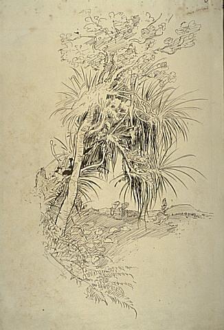 Untitled (Tree study)