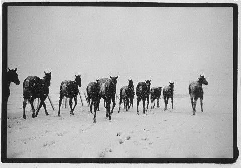 The Canterbury Plains - 22 June 1978