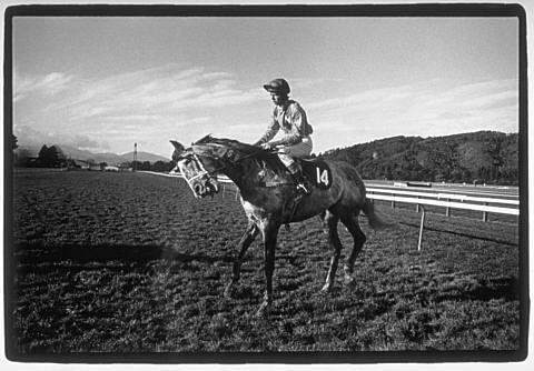 Trentham - 12 July 1978