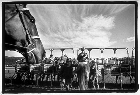 Trentham - 12 July 1978