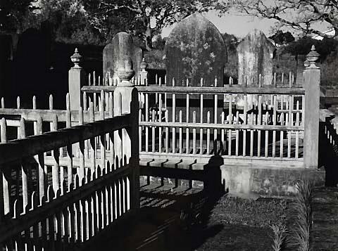 Graveyard, Saint Luke's Church, Mount Albert