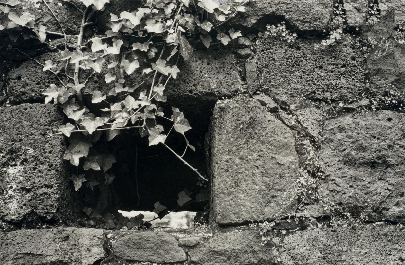 Barracks Wall, Alfred Street