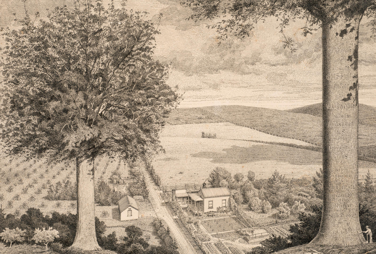 View of C and M Geissler's farm, Warkworth