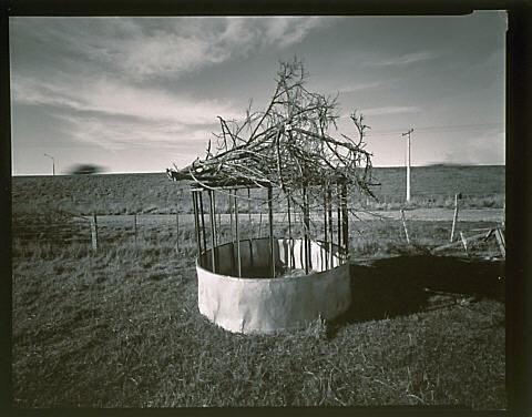 Tin rotunda, Clarkville, Canterbury