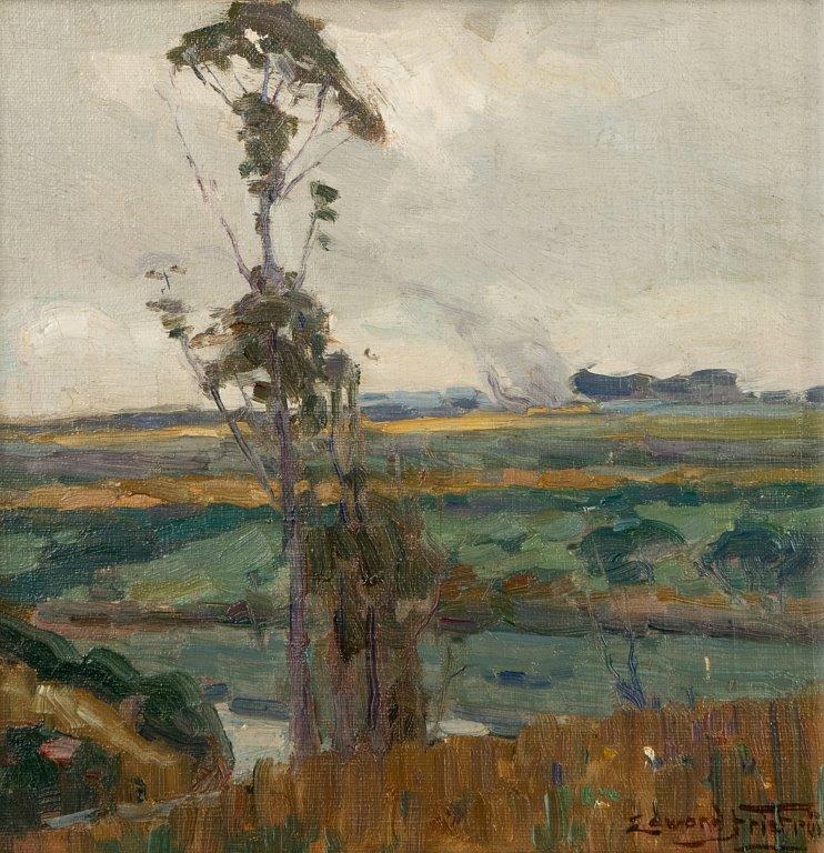 Landscape with Eucalyptus tree