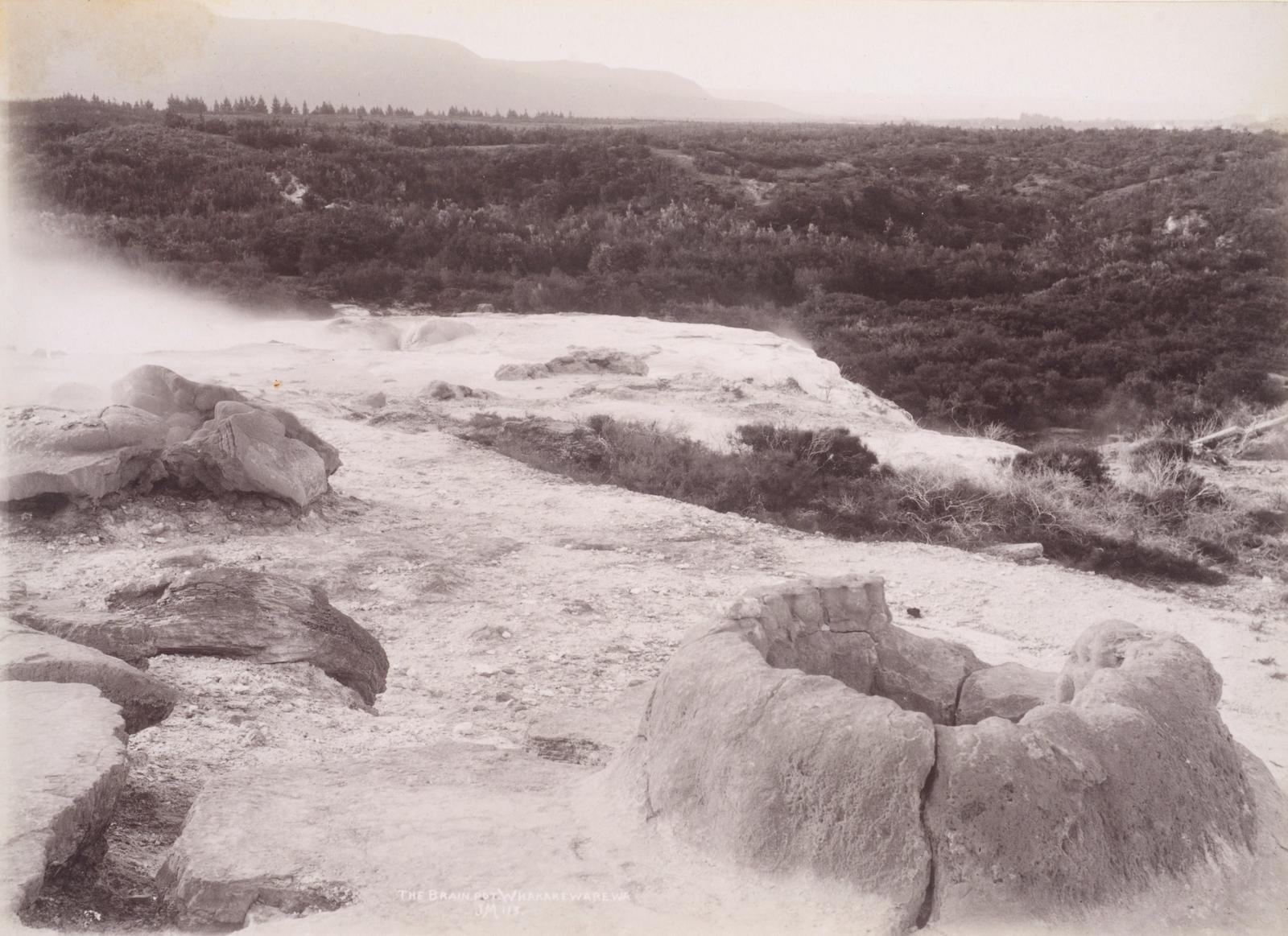 The Brain Pot, Whakarewarewa