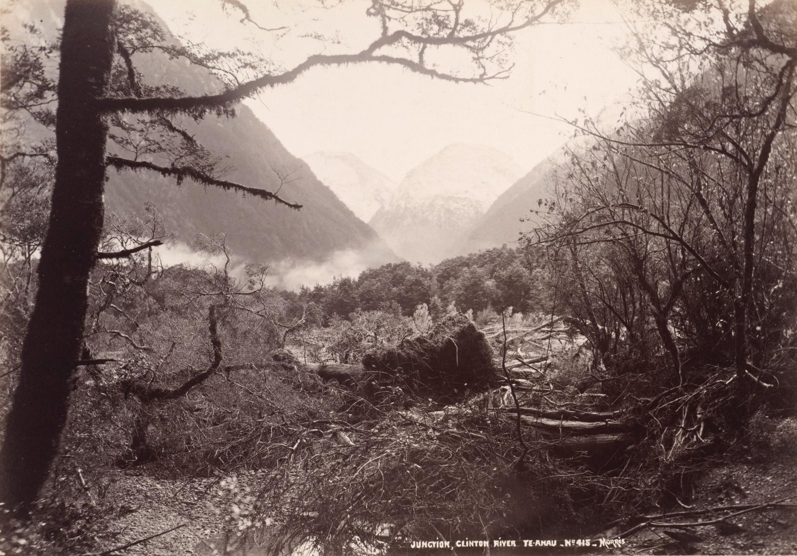 Junction of Clinton River, Te Anau