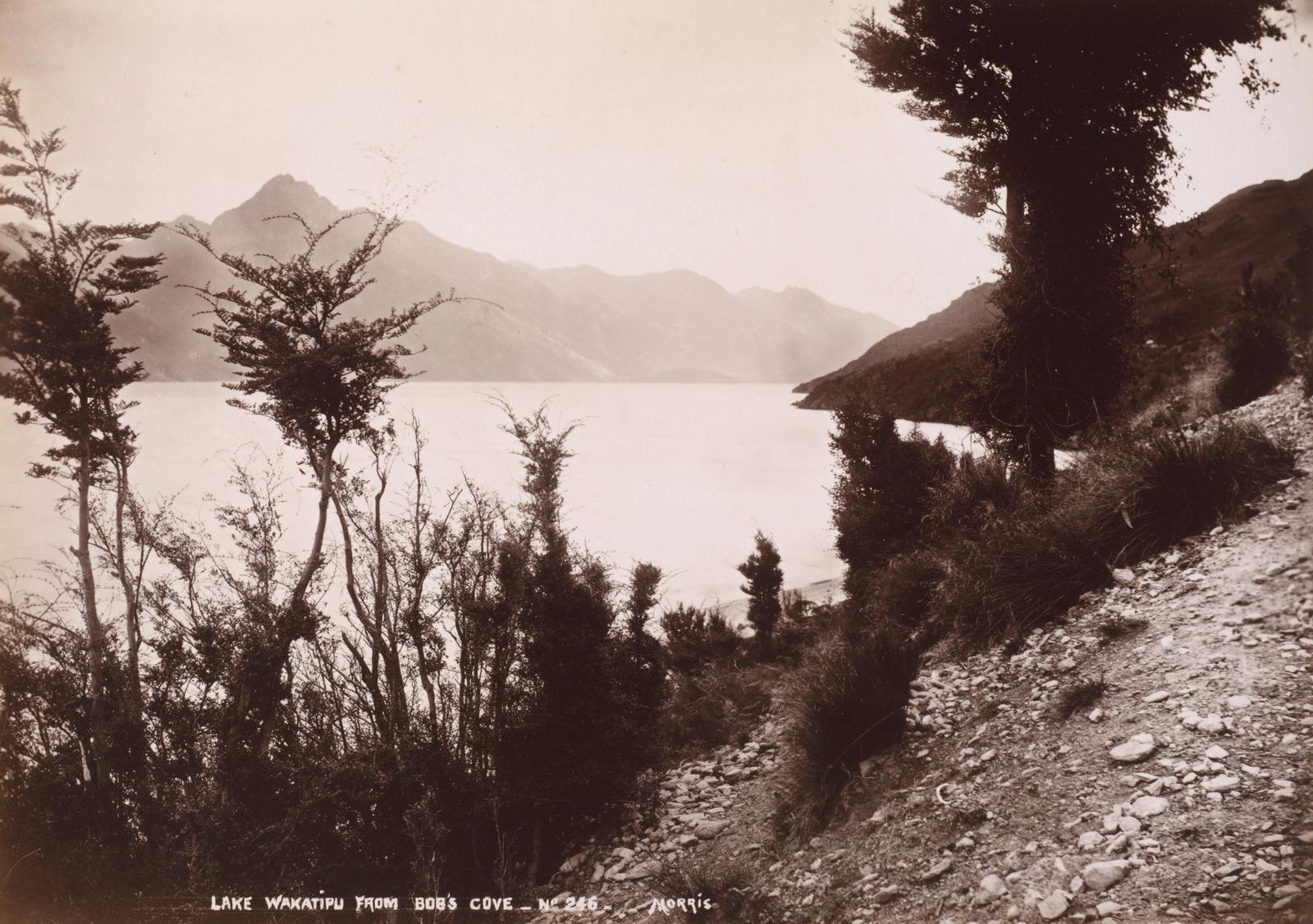 Lake Wakatipu from Bob's Cove