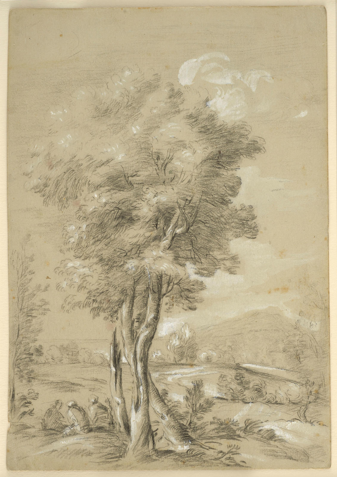 Landscape with entwined trees
