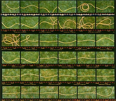 Untitled (Hose)