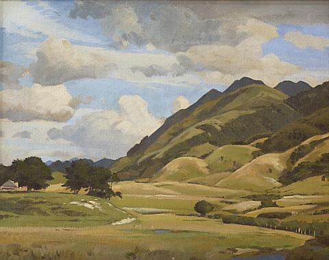 Porirua pastures