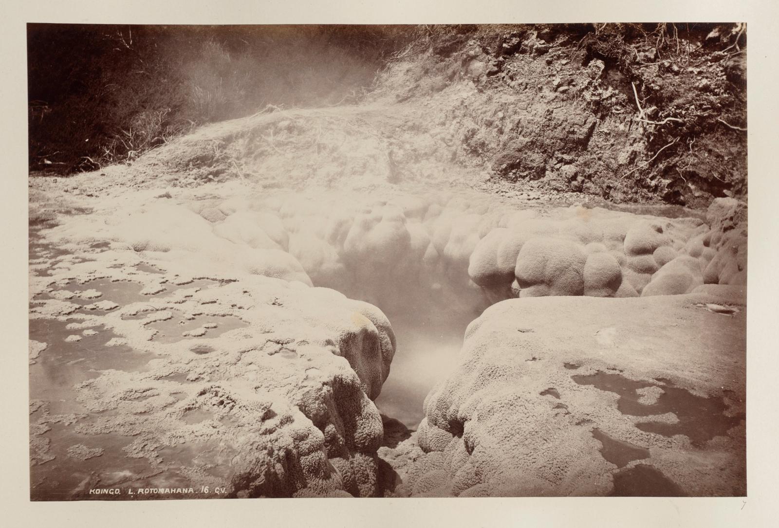 Koingo, Rotomahana