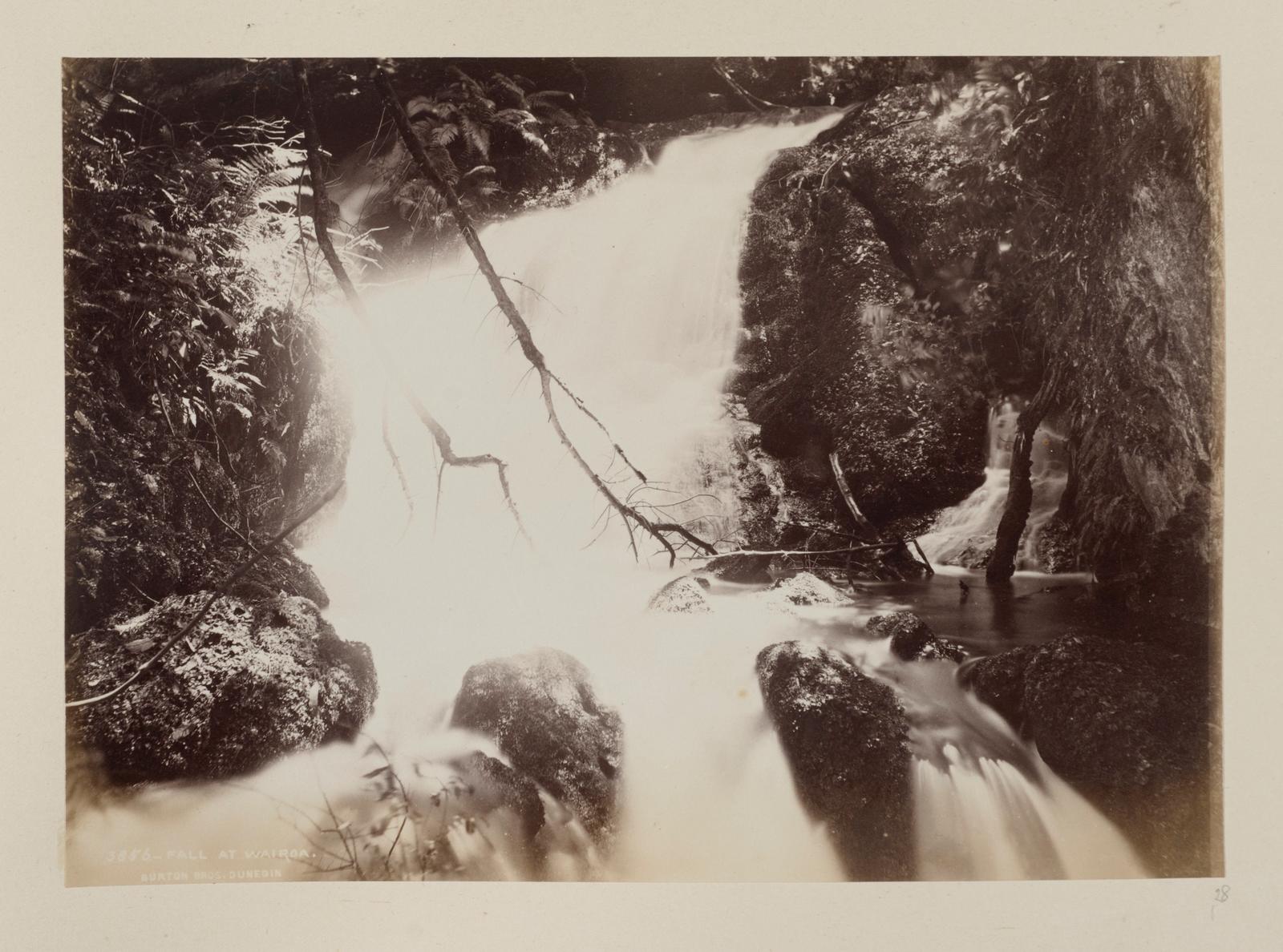 Fall at Wairoa