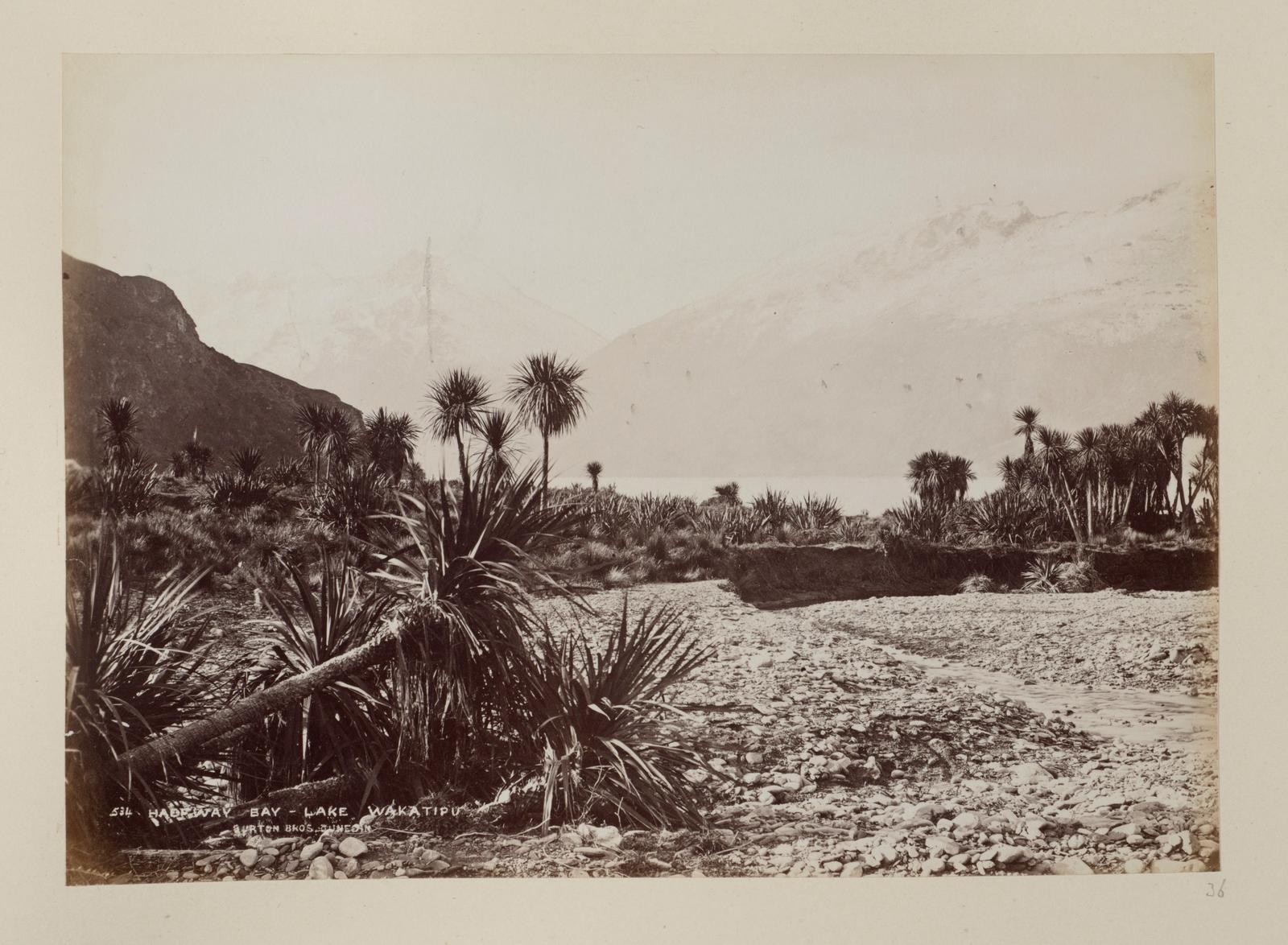 Halfway Bay, Lake Wakatipu