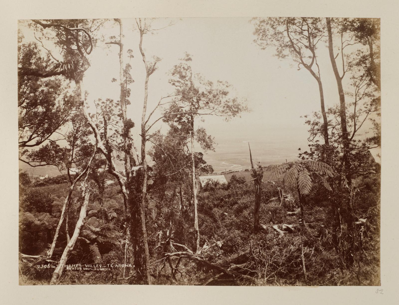 Thames Valley, Te Aroha