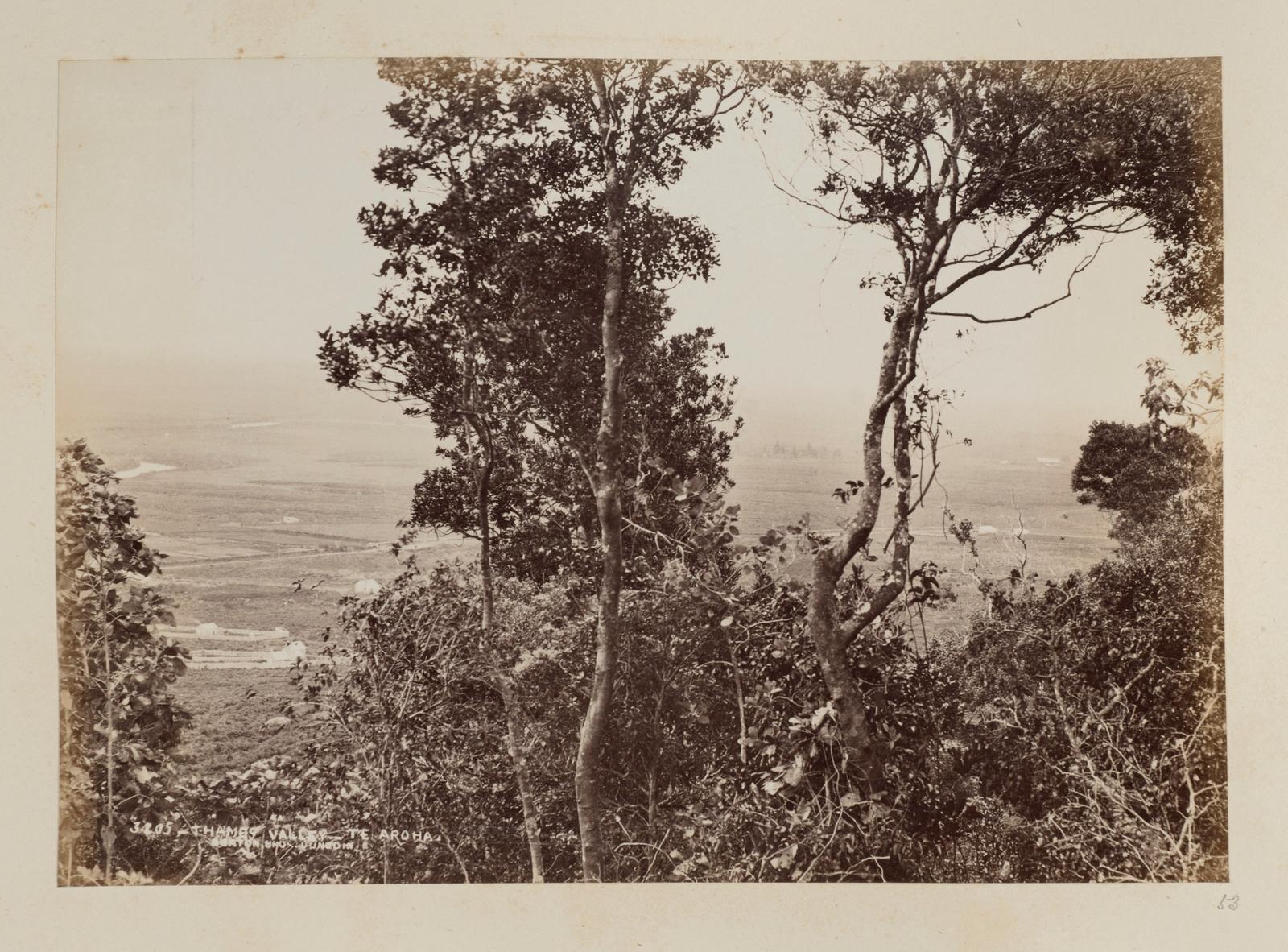 Thames Valley - Te Aroha