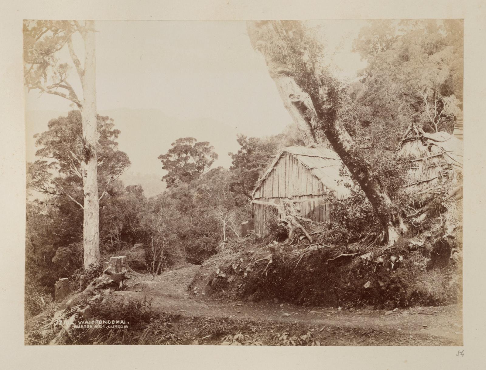 Waiorongomai