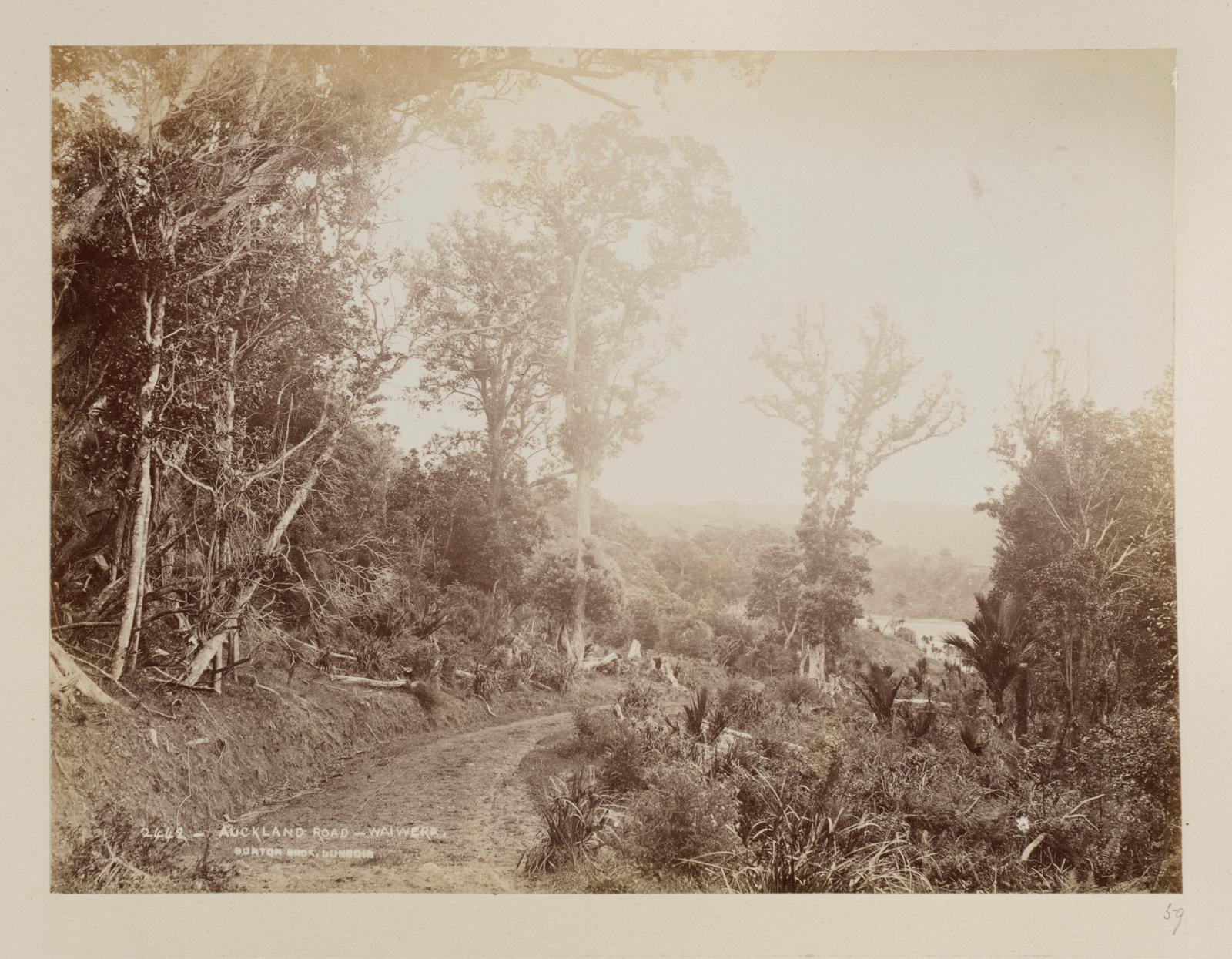 Auckland Road, Waiwera