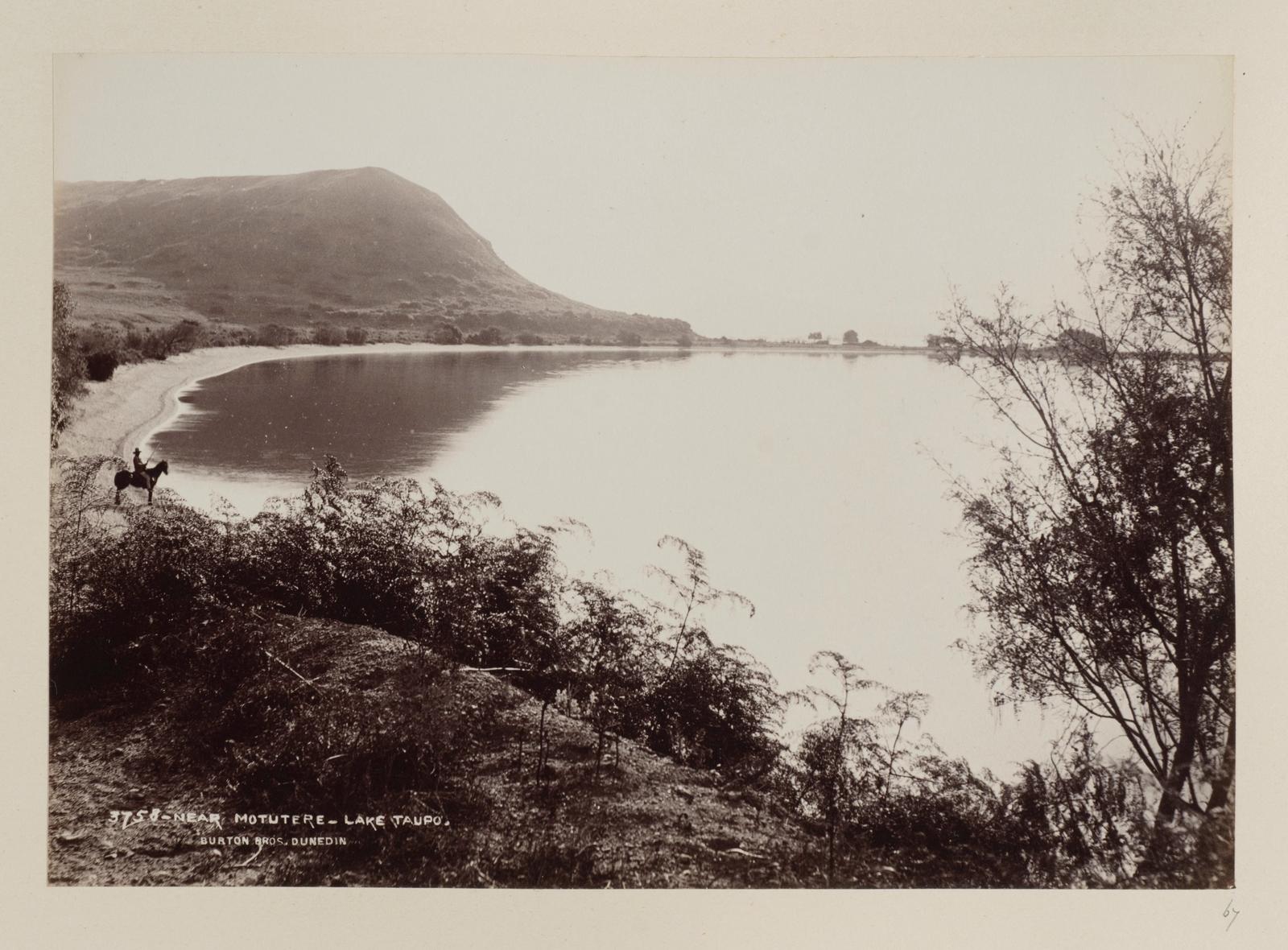 Near Motutere, Lake Taupo