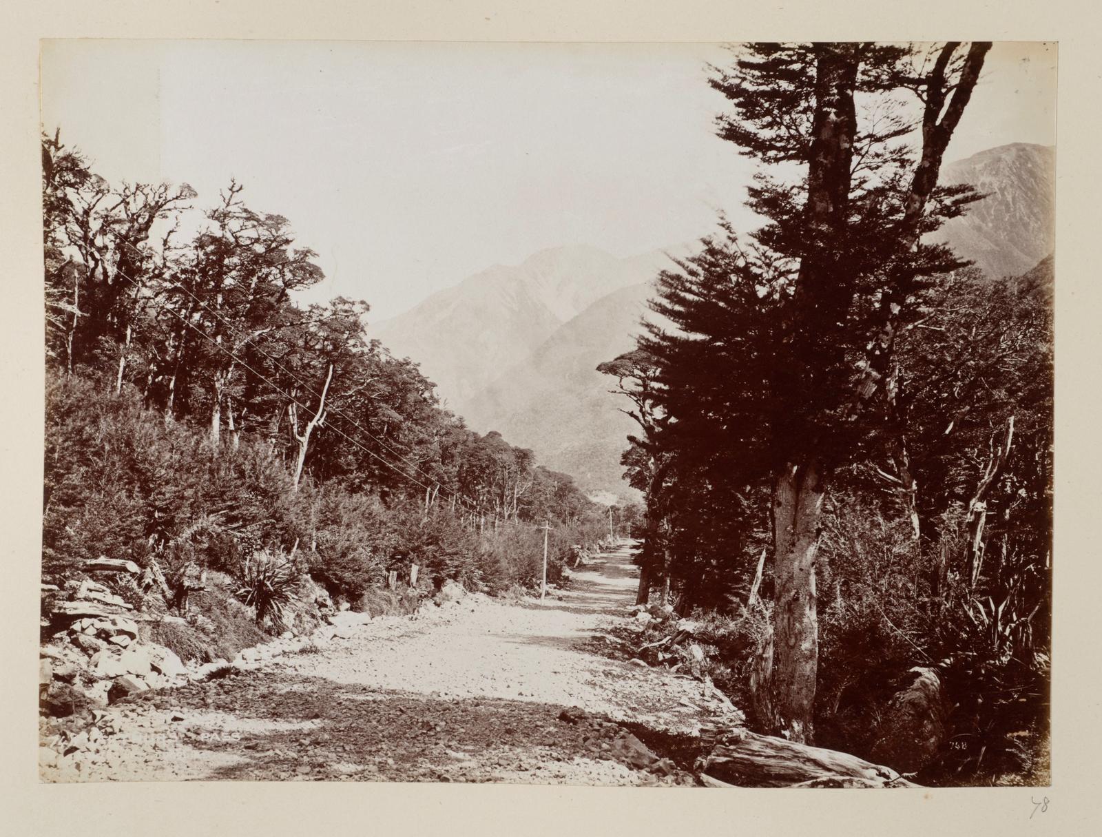 Arthur's Pass