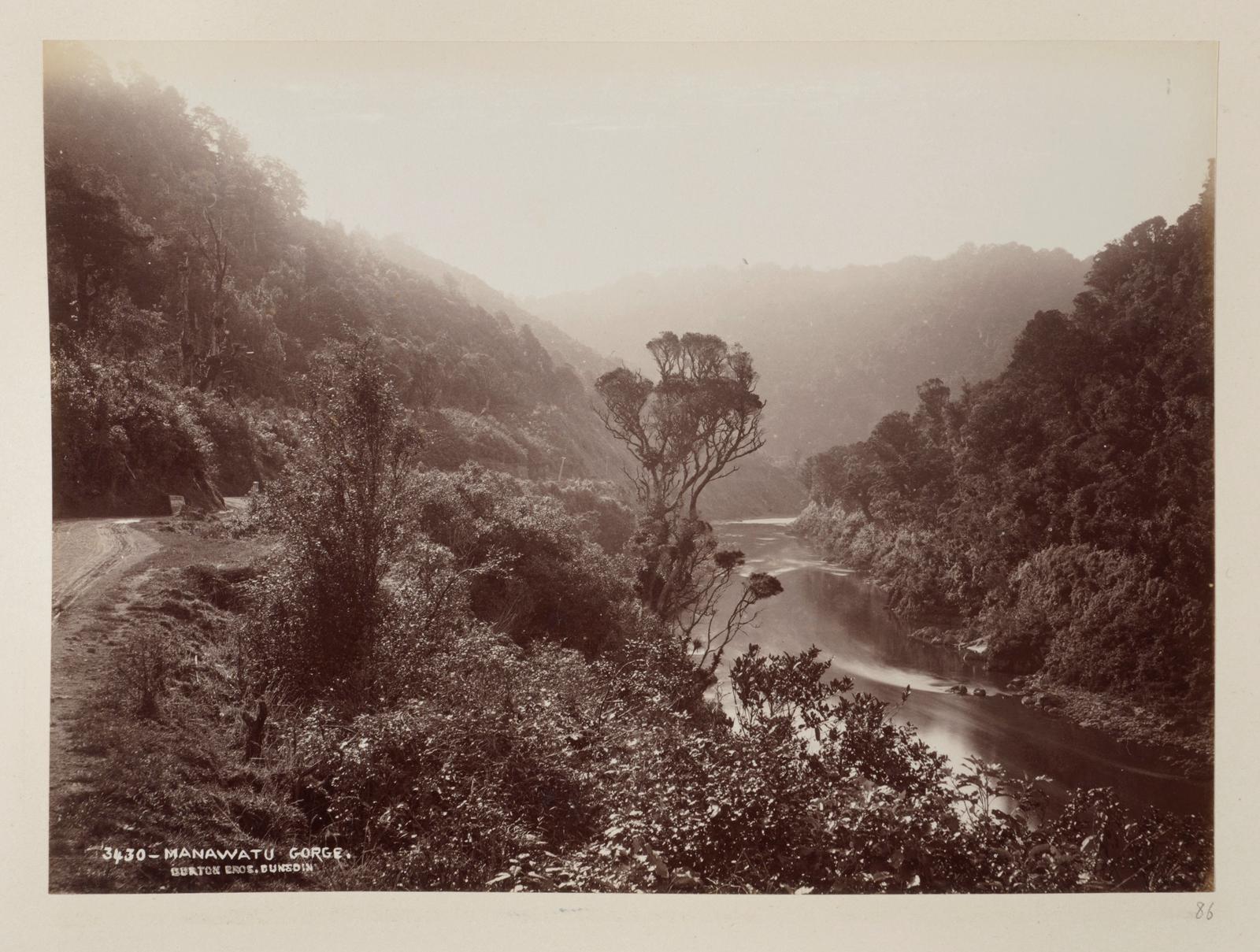 Manawatu Gorge