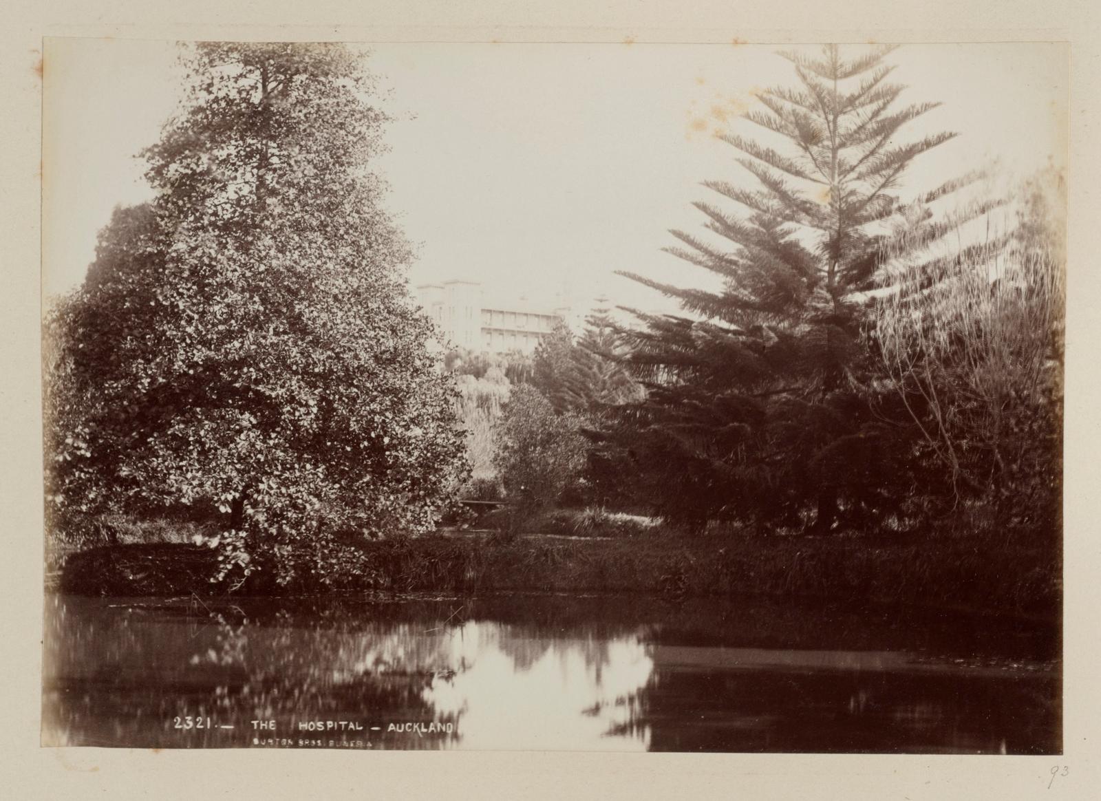 The Hospital, Auckland