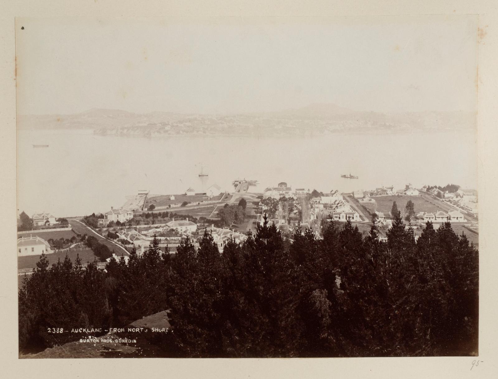 Auckland, from North Shore