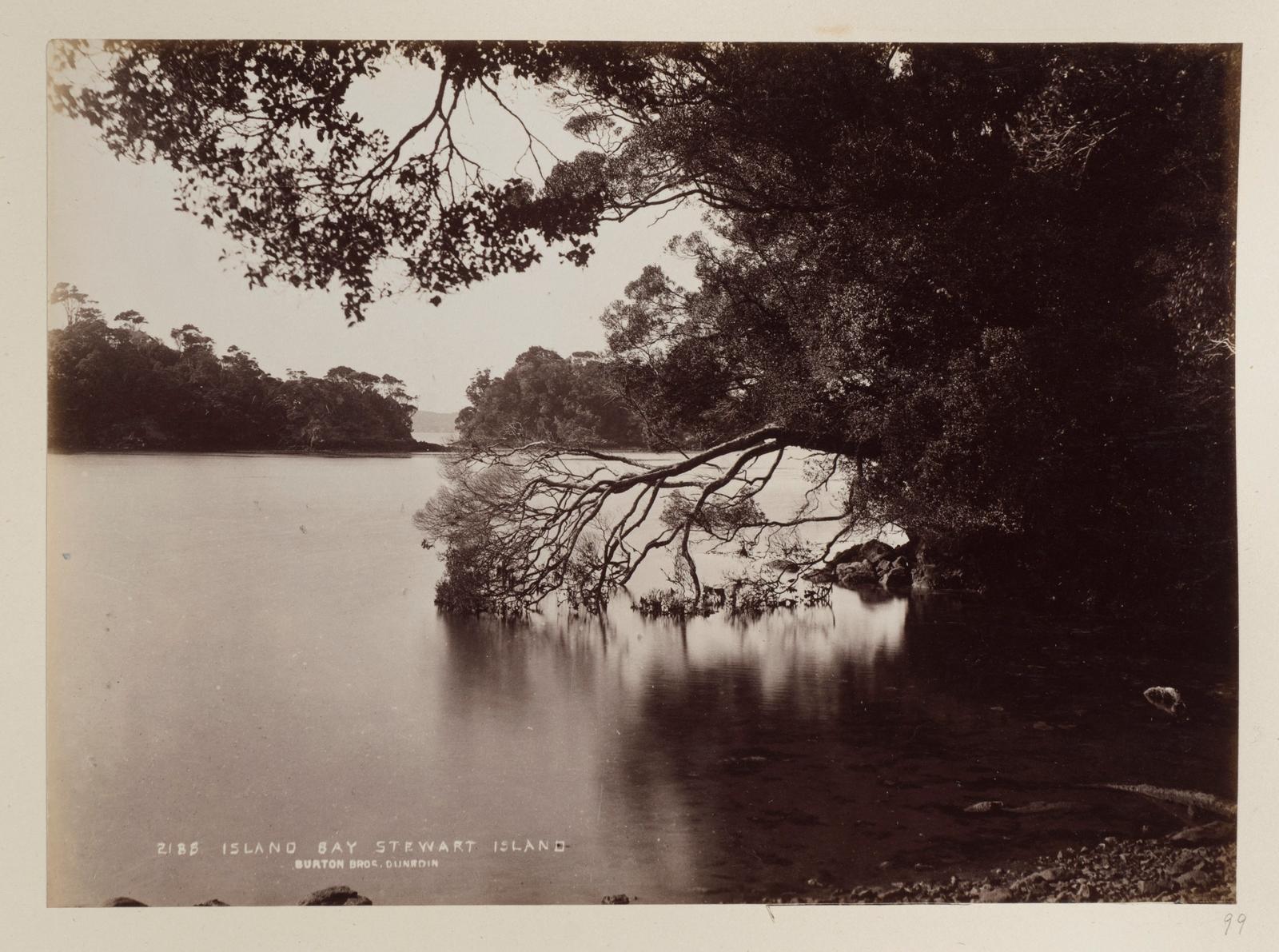 Island Bay, Stewart Island