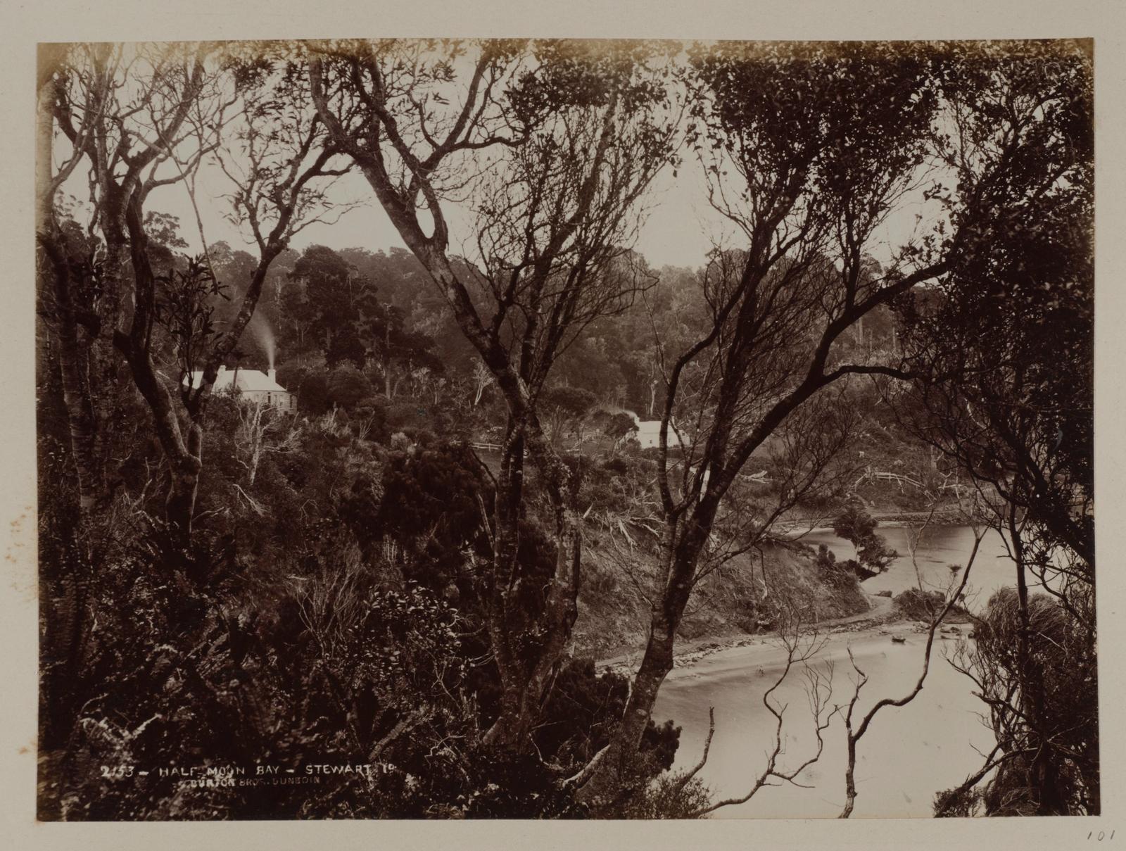 Half-moon Bay, Stewart Island