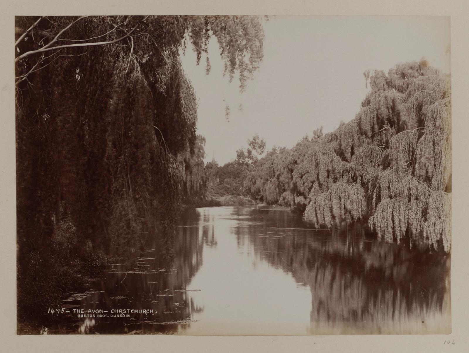 The Avon, Christchurch