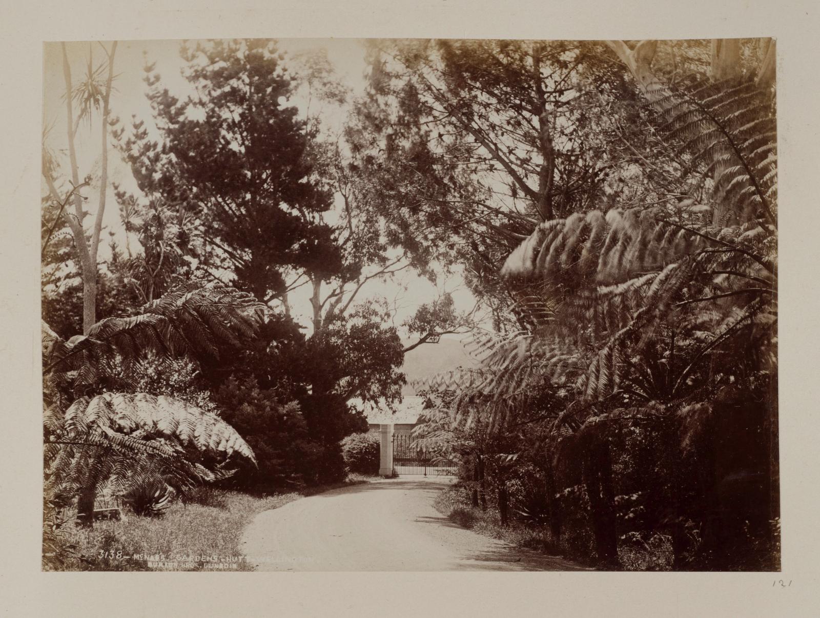 McNab's Gardens, Hutt, Wellington