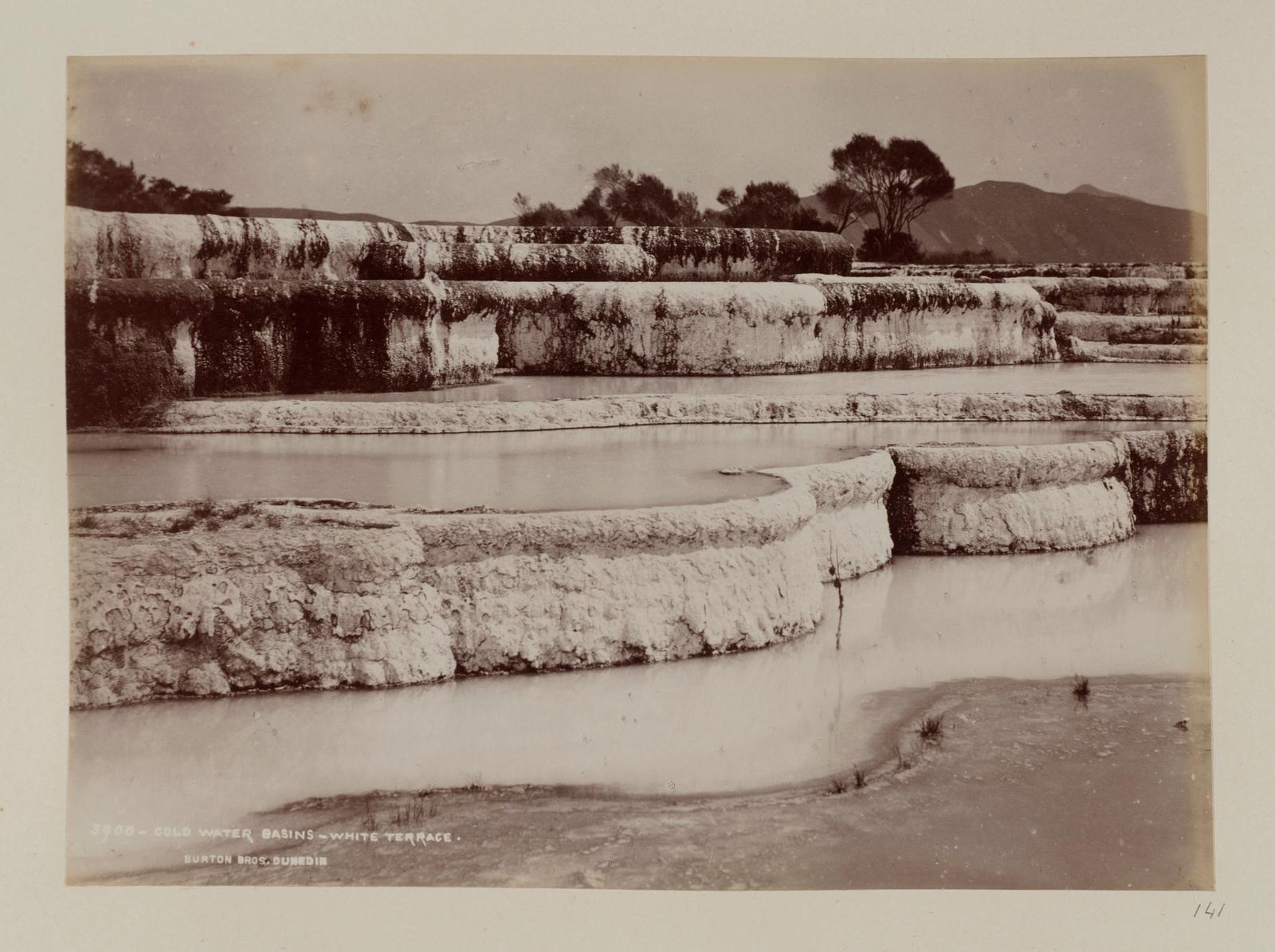 Cold Water Basins, White Terrace