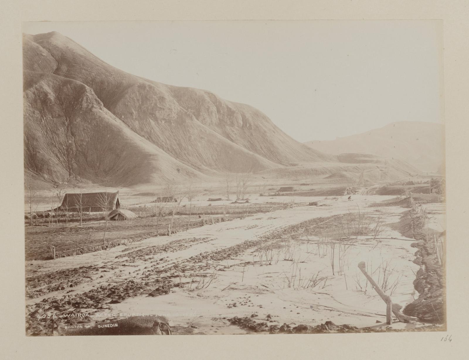 Wairoa, after Eruption, June 10, 1886