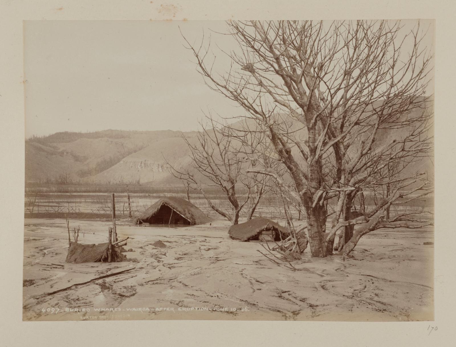 Buried Whares, Wairoa, after Eruption, June 10, 1886