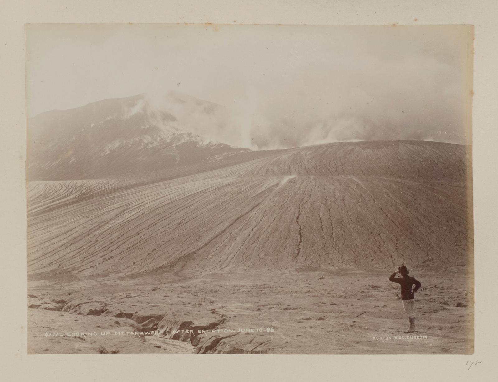 Looking up Mt Tarawera, after Eruption, June 10, 1886