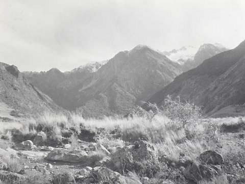 Gully in the Saint Arnaud Range, near the ACC House