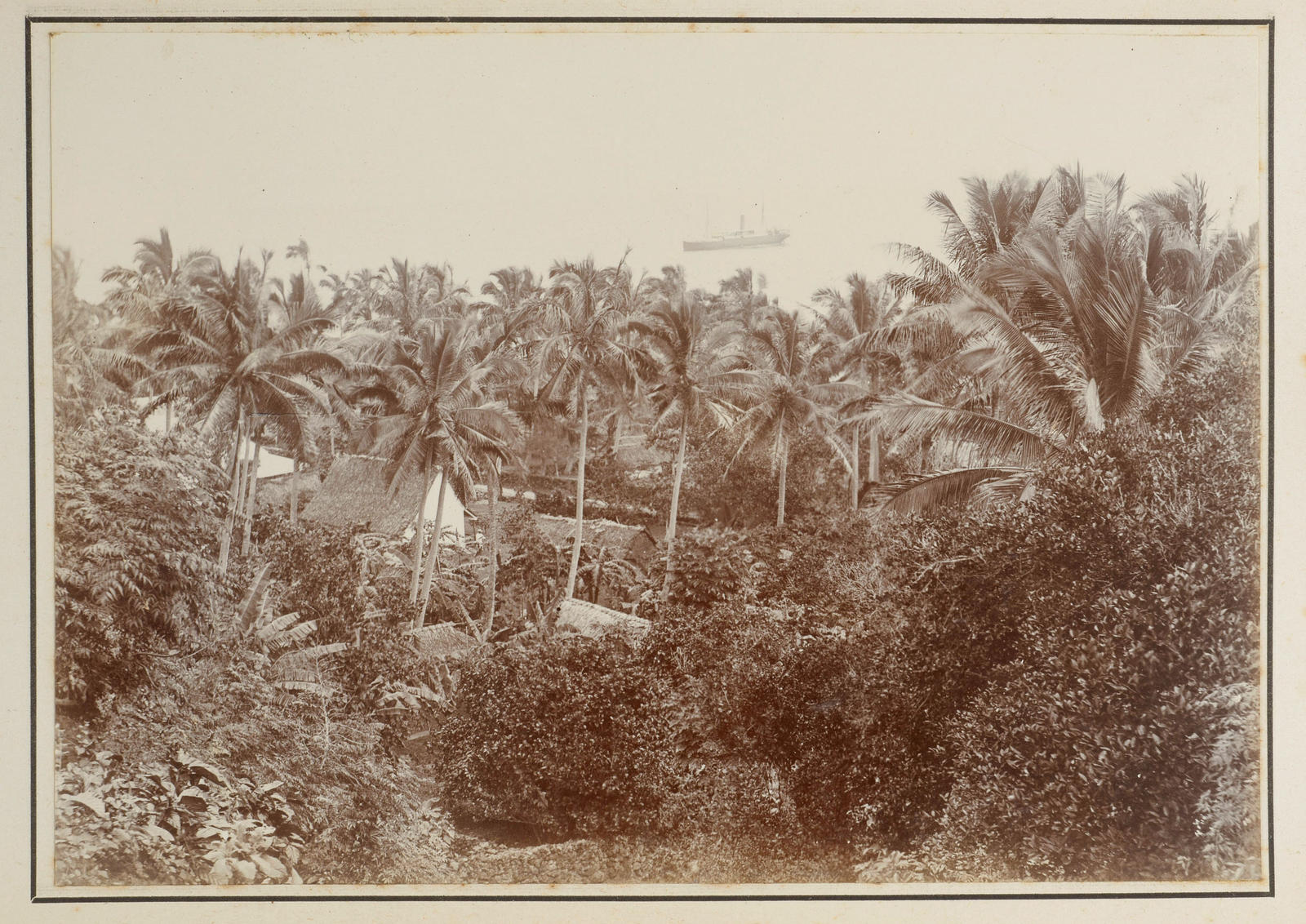 Scene, Mangaia